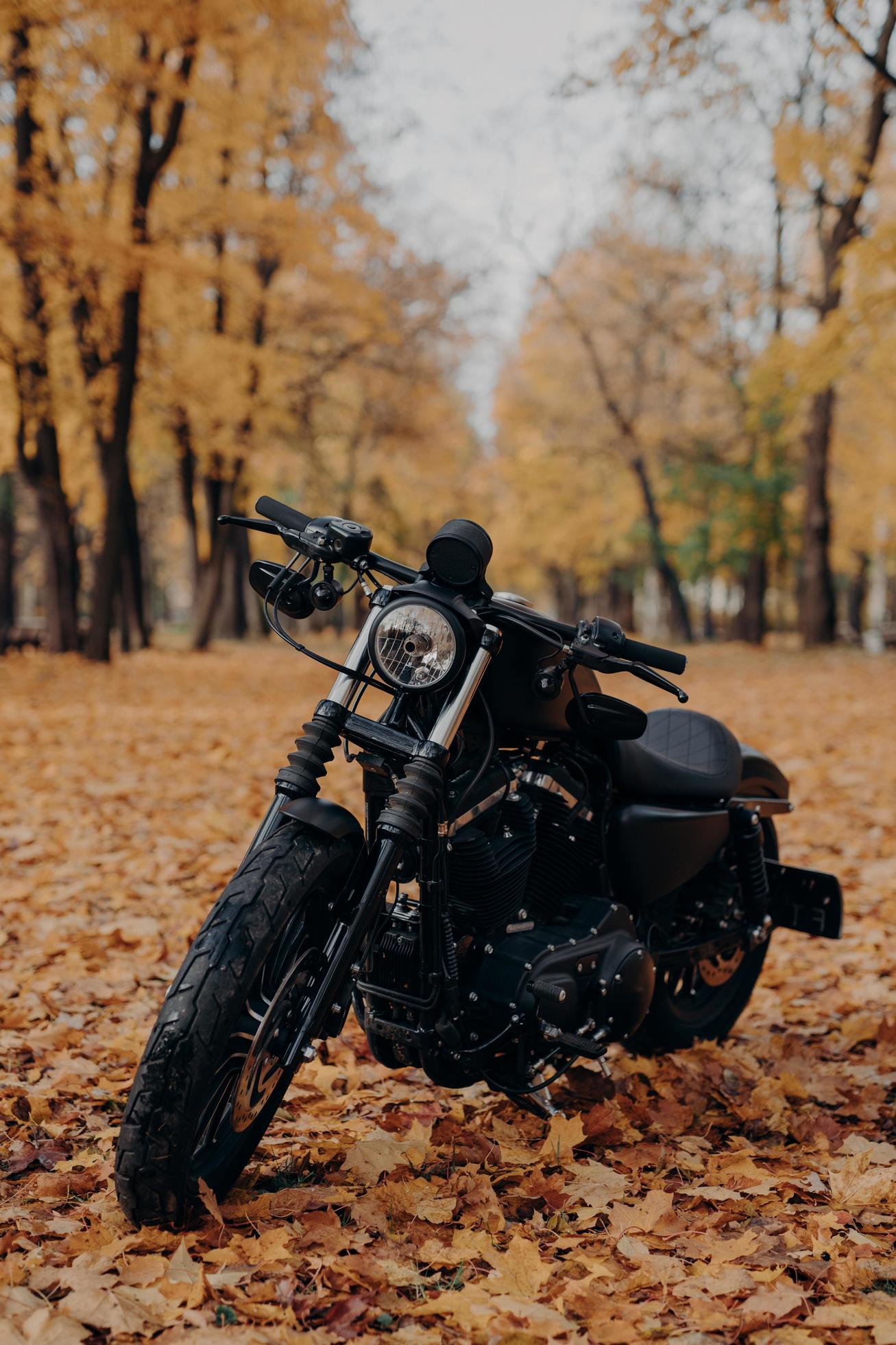 moto